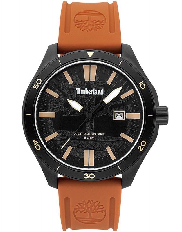 Ceas barbatesc Timberland Ashland TBL.15418JSB/02P