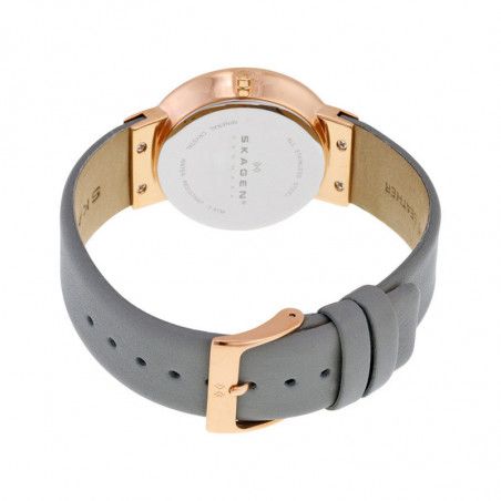 Ceas de dama Skagen SKW2122