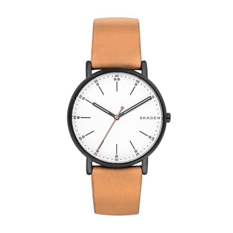 Ceas barbatesc Skagen Signature SKW6352