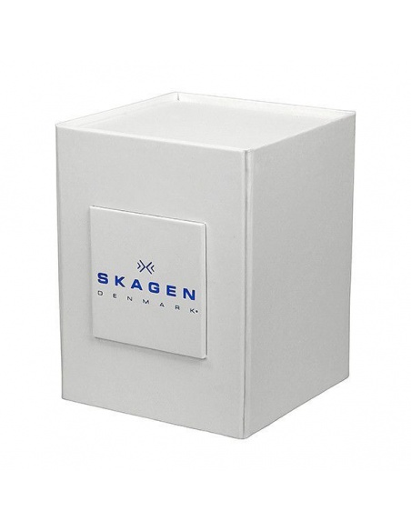 Ceas unisex Skagen 233LMM3L