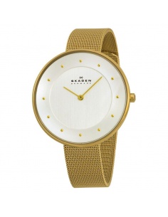 Ceas de dama Skagen SKW2141