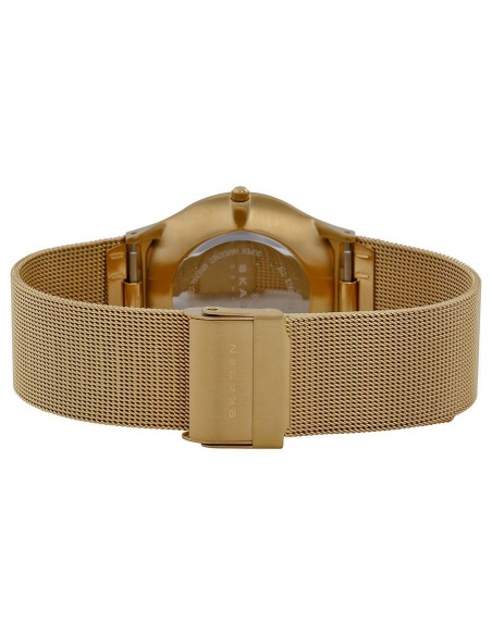 Ceas barbatesc Skagen Mesh 233XLGG