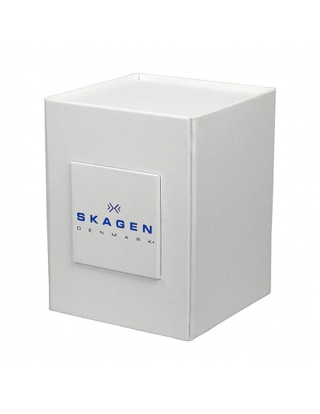 Ceas barbatesc Skagen Mesh 233LTMN