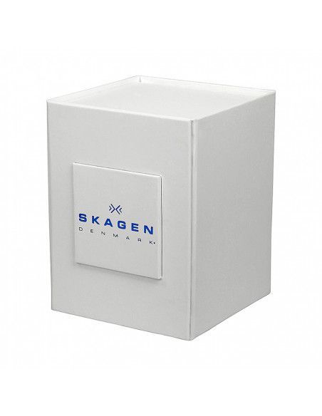 Ceas barbatesc Skagen Balder SKW6077