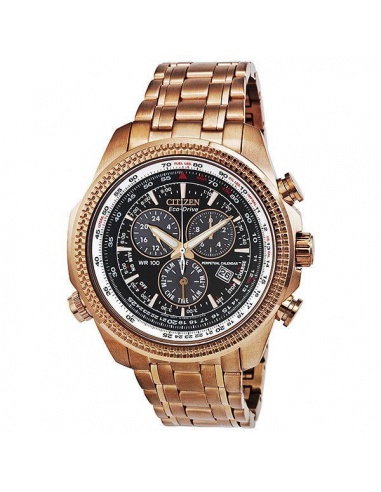 Ceas barbatesc Citizen Perpetual Calendar BL5403-54E