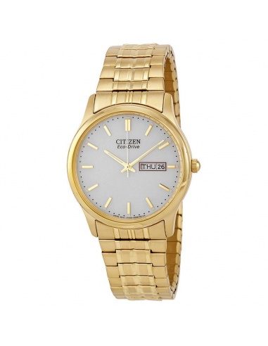 Ceas barbatesc Citizen Eco-Drive BM8452-99P