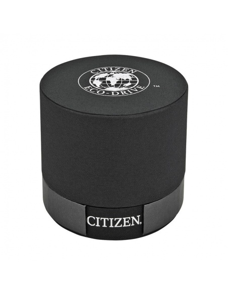 Ceas barbatesc Citizen Eco-Drive AT0810-12E