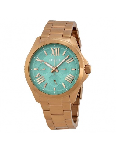 Ceas de dama Fossil Cecile AM4540