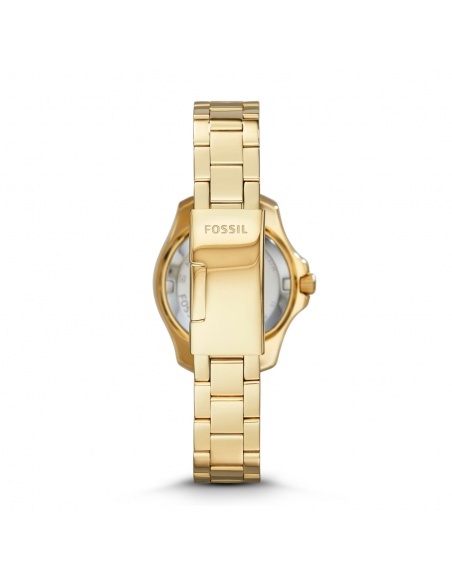 Ceas de dama Fossil Cecile AM4577