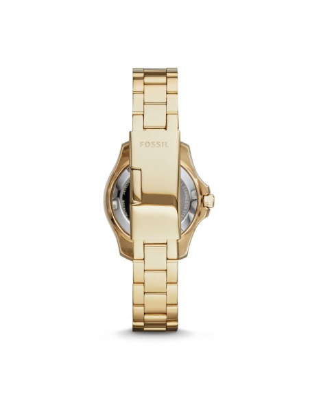 Ceas de dama Fossil Cecile AM4598