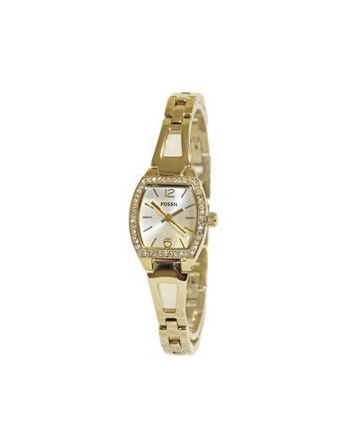 Ceas de dama Fossil BQ1208