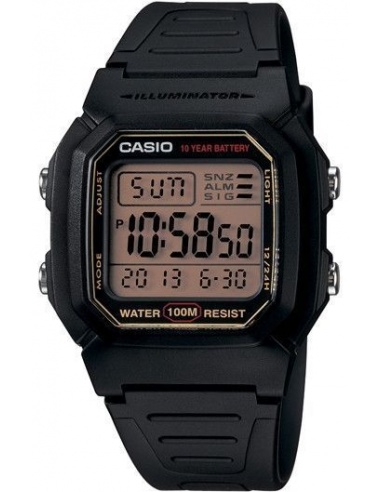 Ceas barbatesc Casio W800HG-9AV