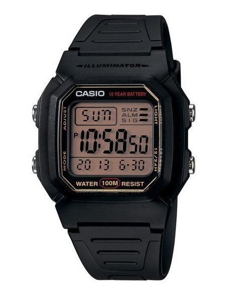 Ceas barbatesc Casio W800HG-9AV