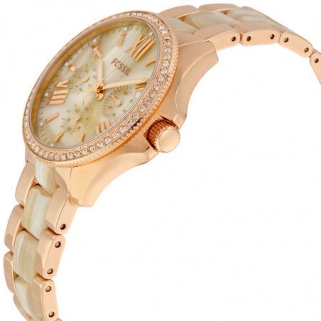 Ceas de dama Fossil Cecile AM4616