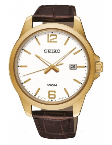 Ceas barbatesc Seiko Quartz SUR252P1