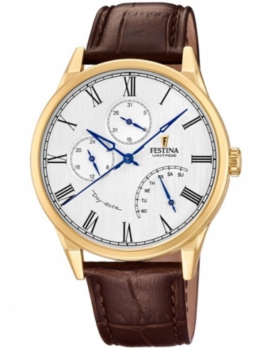 Ceas barbatesc Festina Retro F20279/2