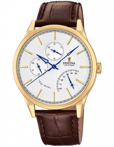 Ceas barbatesc Festina Retro F20279/1