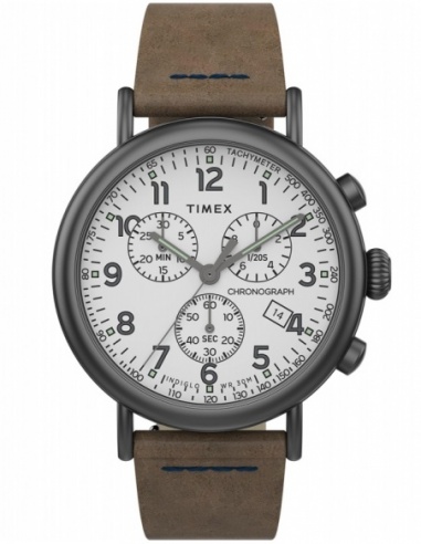 Ceas barbatesc Timex Casual TW2T69000