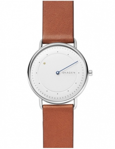 Ceas barbatesc Skagen Horizont SKW6487