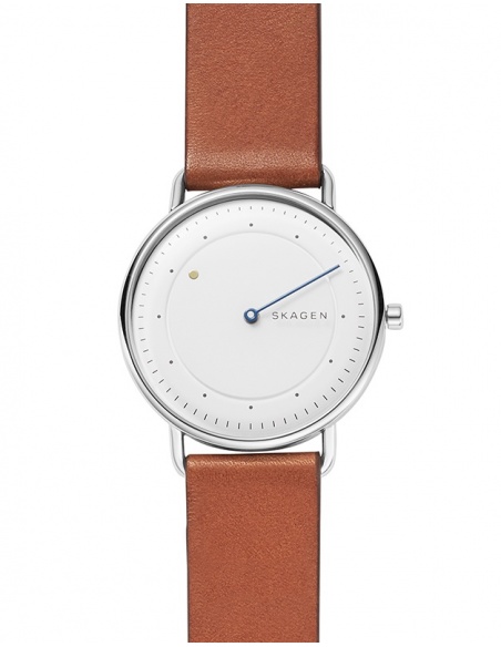 Ceas barbatesc Skagen Horizont SKW6487