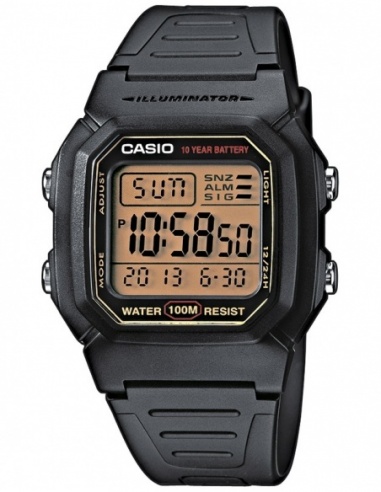 Ceas barbatesc Casio Collection W-800HG-9AVES