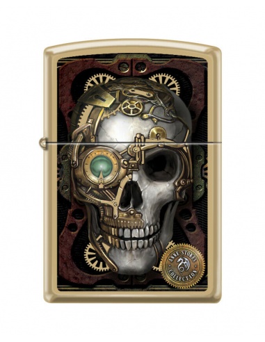 Brichetă Zippo 6569 Anne Stokes - Steampunk Skull