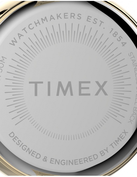 Ceas de damă Timex Dress TW2V24100