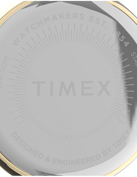 Ceas de damă Timex Dress TW2V24500