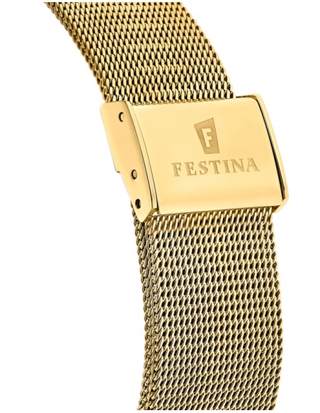 Ceas bărbătesc Festina Retro F20569/4