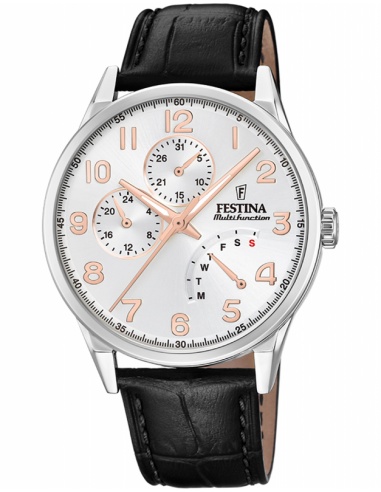 Ceas bărbătesc Festina Multifunction F20278/A