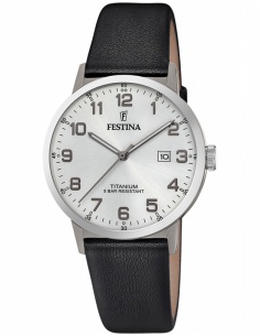 Ceas bărbătesc Festina Titanium F20471/1