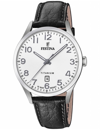 Ceas bărbătesc Festina Titanium F20467/1