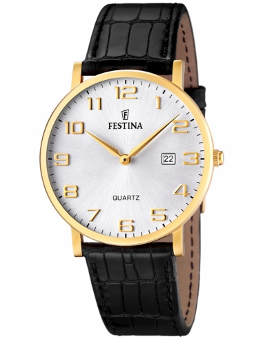 Ceas bărbătesc Festina Classic F16478/2