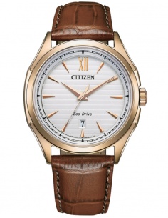 Ceas bărbătesc Citizen Eco-Drive AW1753-10A