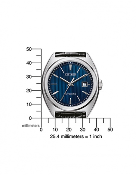 Ceas bărbătesc Citizen Basic NJ0100-46L