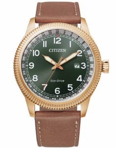 Ceas bărbătesc Citizen Eco-Drive BM7483-15X