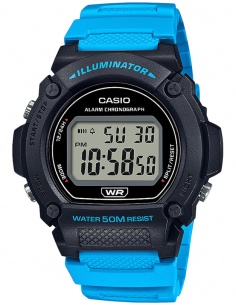 Ceas bărbătesc Casio Collection Casio W-219H-2A2VEF