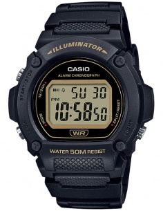 Ceas bărbătesc Casio Collection Casio W-219H-1A2VEF